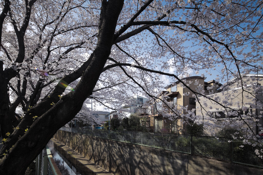 桜並木と寄り添う丸屋根のコンパクトな佇まい。
丸みのある屋根と土壁が、川沿いの景観とやわらかく調和する外観。