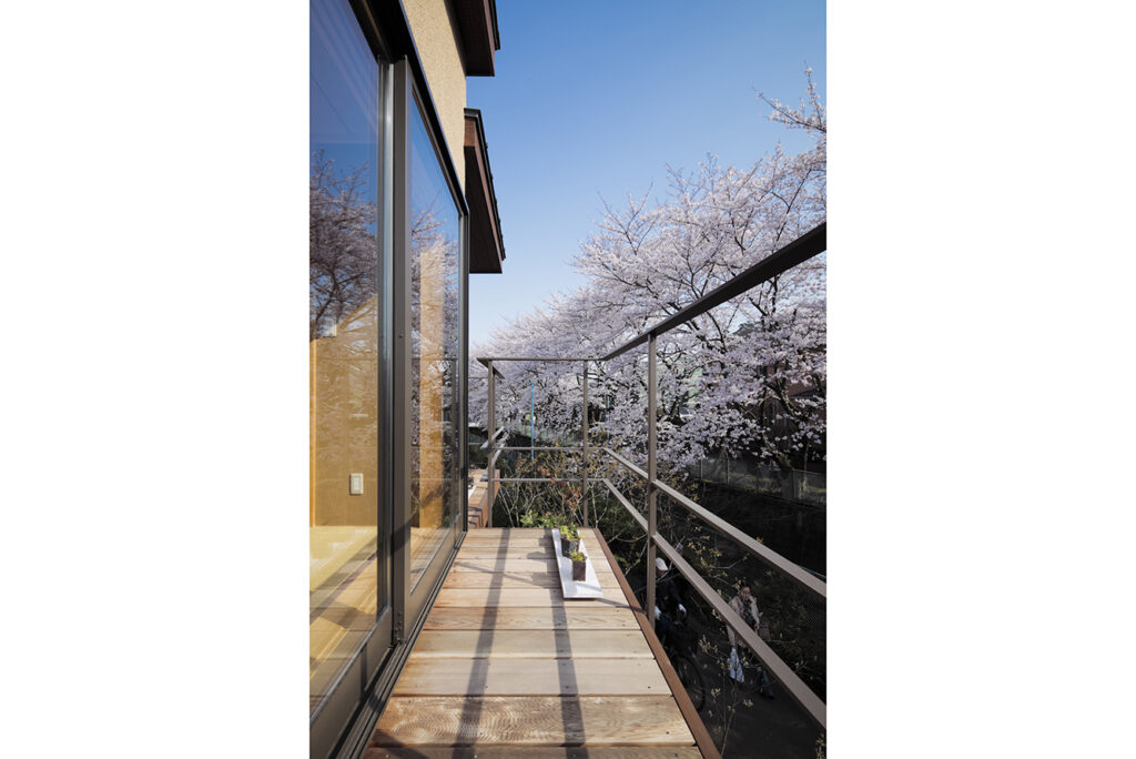窓辺に広がる桜の借景。
春には目線の高さいっぱいに桜が広がり、季節を間近に感じられる設計。