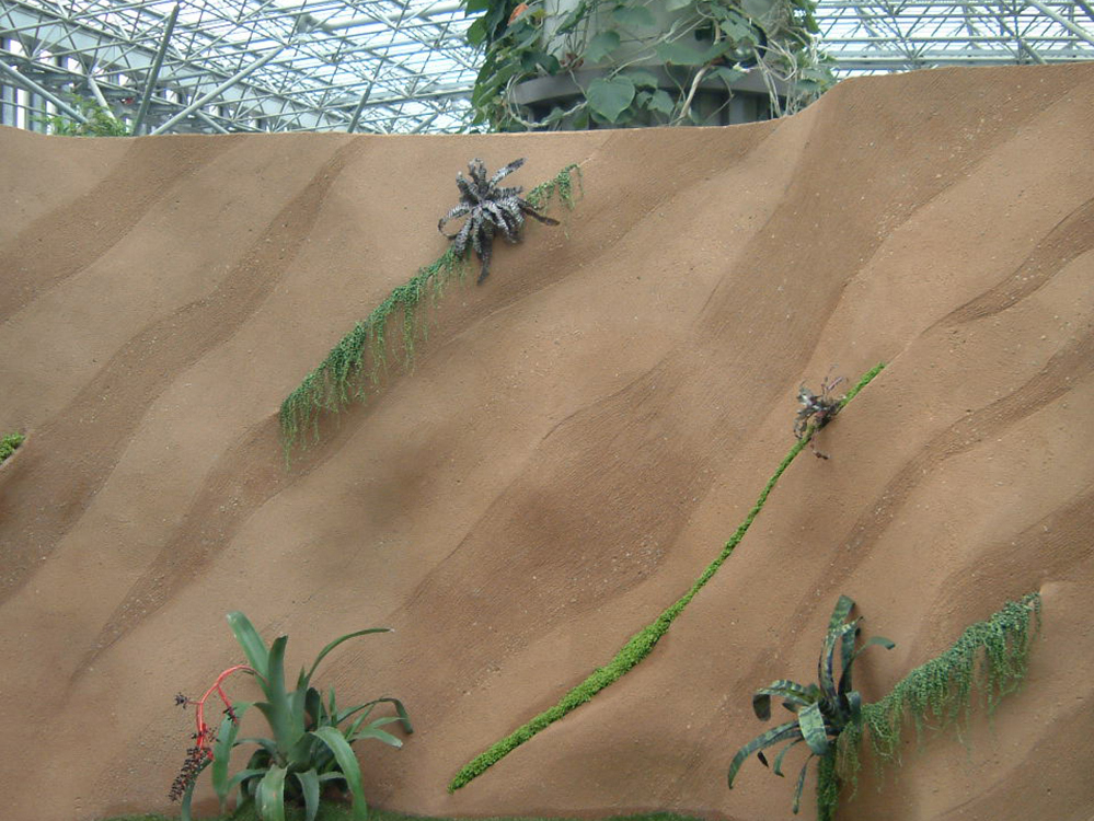 南国植物の力強さと土壁の造形が重なり、温室内に不思議な“異国の自然”をつくり出す。