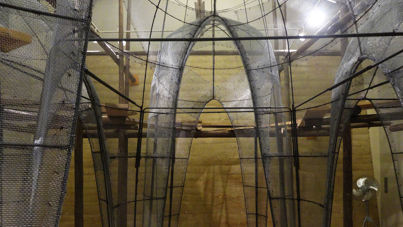 土壁やタイルがどのように作られていくのかを、
制作過程ごと展示する試み。職人の仕事そのものを空間の一部として公開しました。