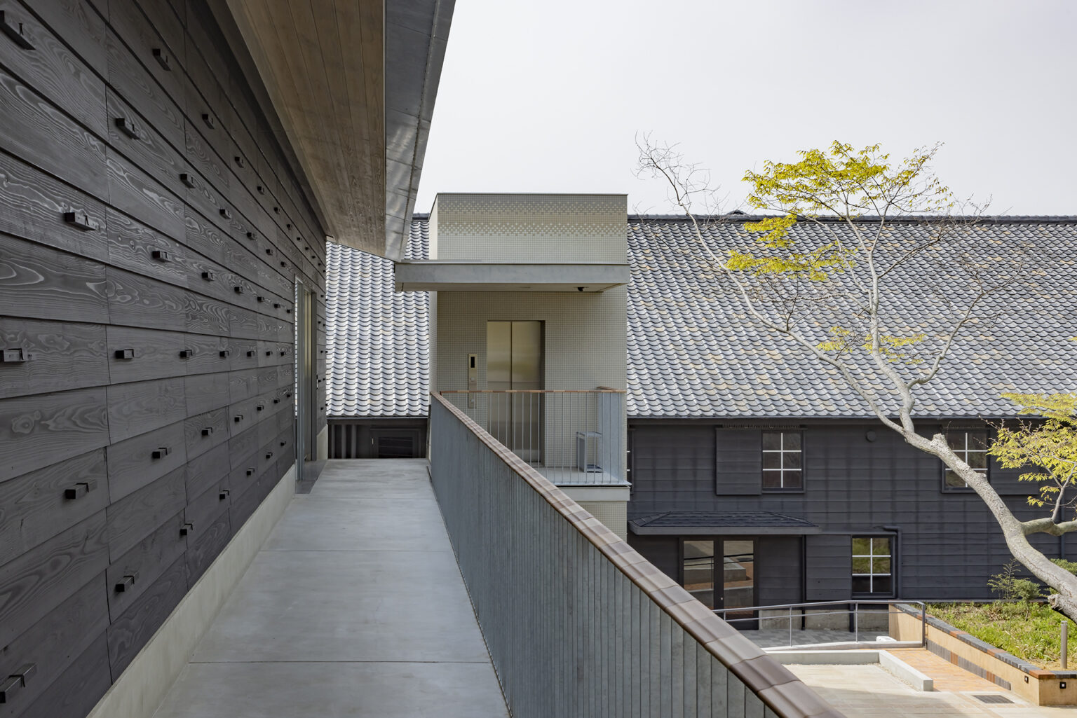 隣接する「窯のある広場資料館」との関係性を意識した配置計画。
建物同士の連続性を大切にしています。